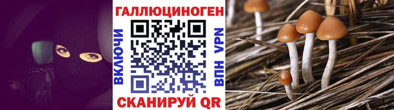 Галлюциногенные грибы прущие грибы  Купить закладки  Рассказово 
